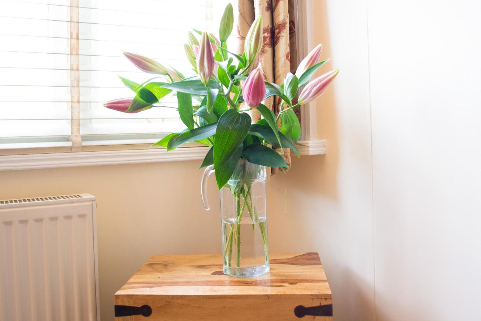 Ferienhaus Host & - York Terrace *